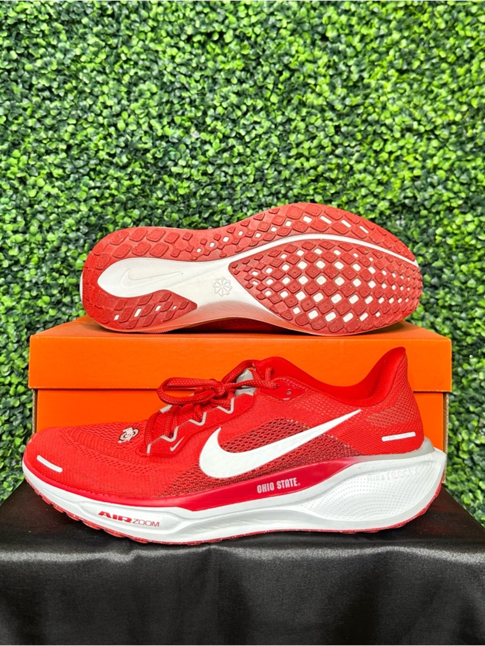 Mens Nike Air Zoom Pegasus 41 ‘Ohio State Edition’